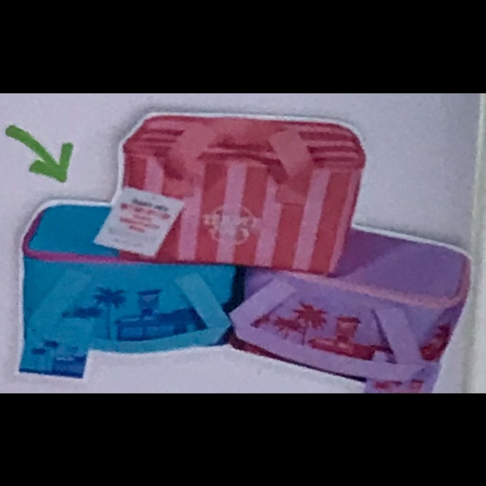 Trader Joe’s bags in Purple, Coral and Blue